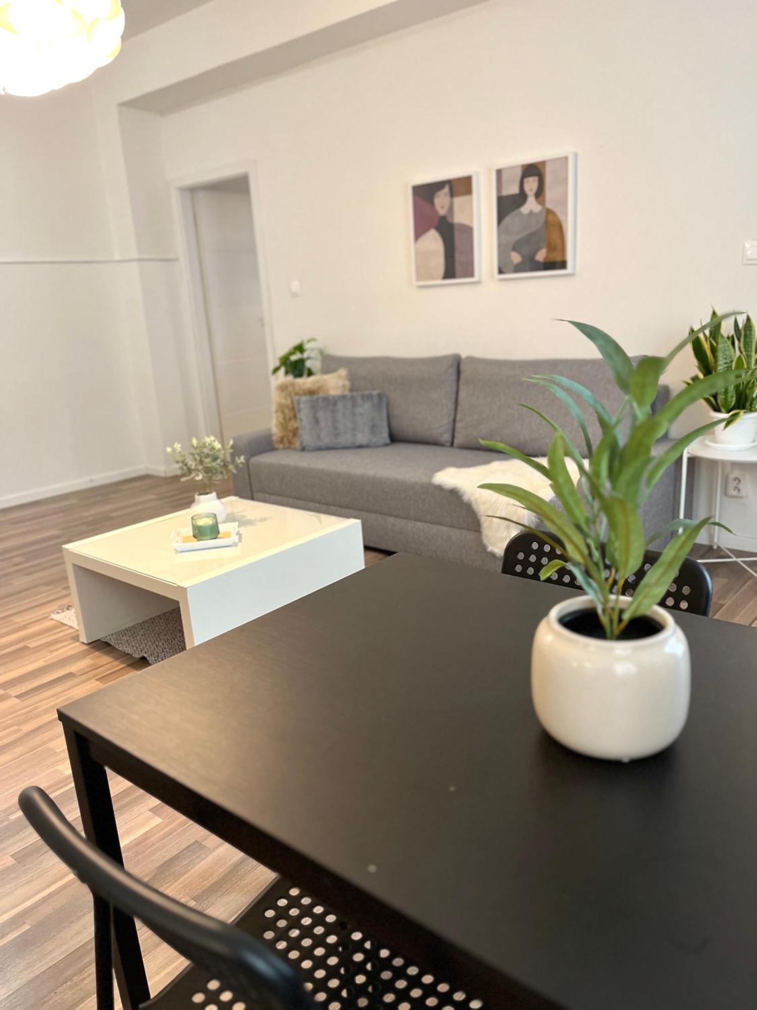 Apartment Adele - Old Town 布拉迪斯拉发 外观 照片